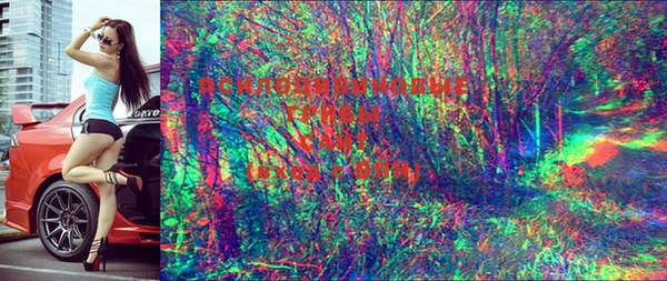 синтетический гашиш Алексеевка