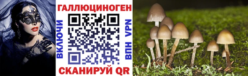 Псилоцибиновые грибы Psilocybine cubensis  Дмитриев 